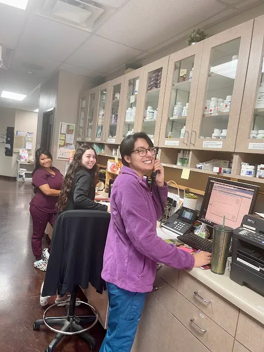 Town Center Animal Hospital 5