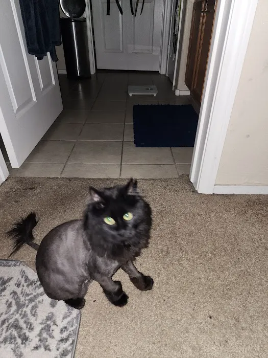 West Charleston Animal Hospital: Rubenstien Matthew DVM 3