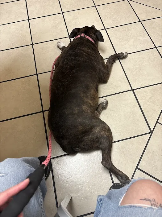 Southwest Animal Hospital 1