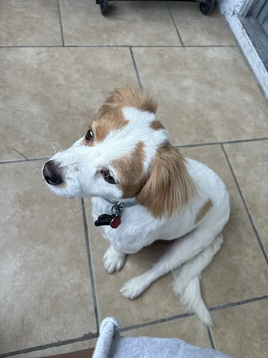 Southwest Animal Hospital 9