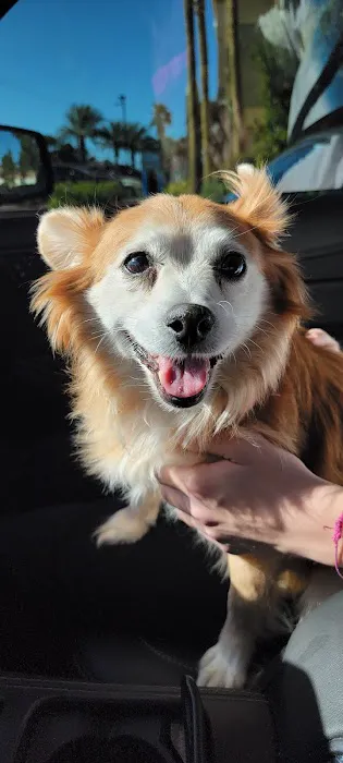 Southwest Animal Hospital 2