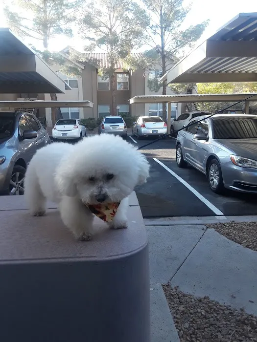 Southwest Animal Hospital 3