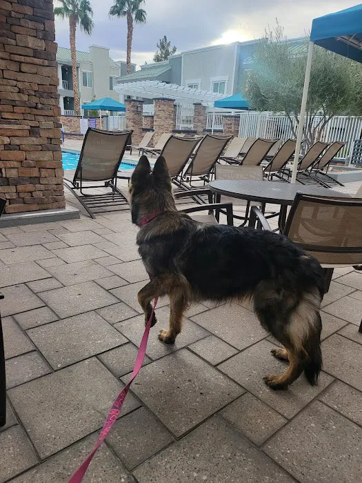 Southwest Animal Hospital 6