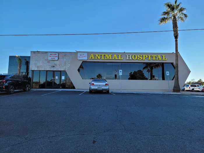 West Flamingo Animal Hospital 4