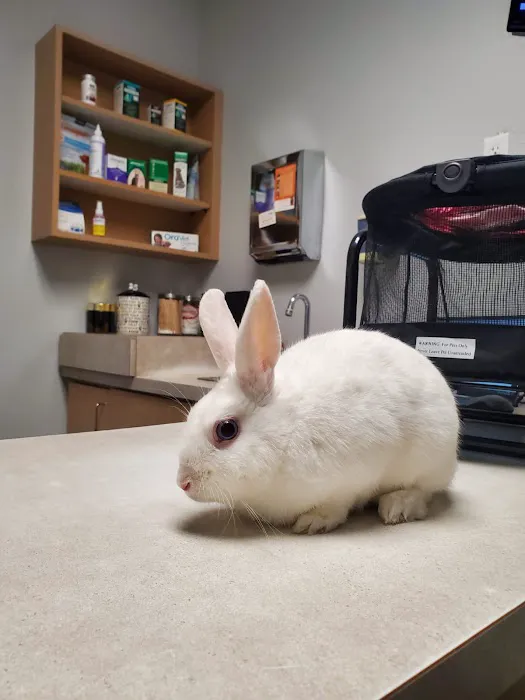 West Flamingo Animal Hospital 7