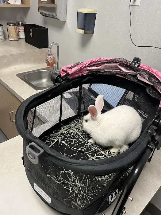 West Flamingo Animal Hospital 8