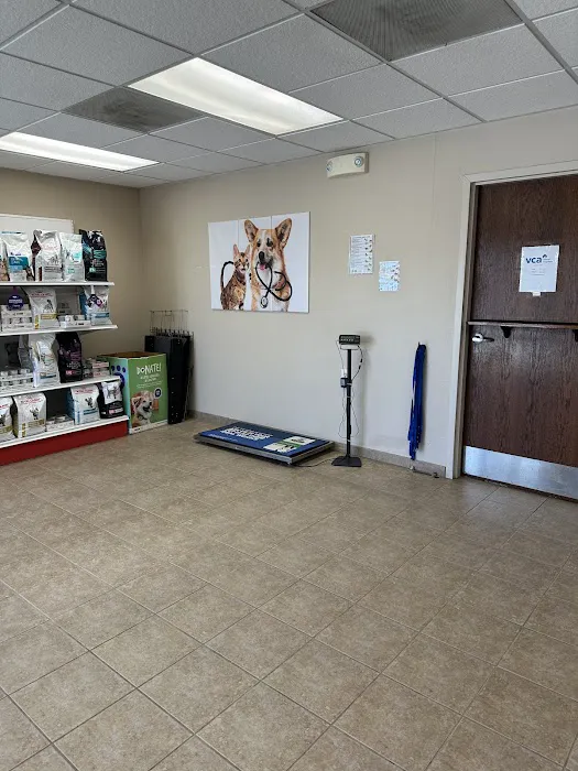 VCA Spring Mountain Animal Hospital 6