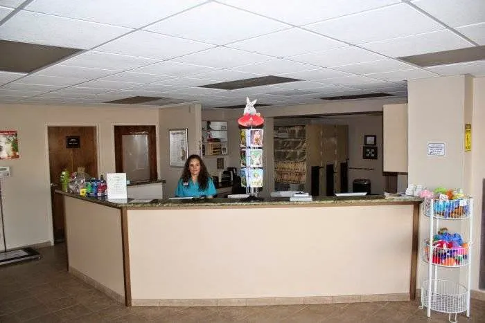 VCA Spring Mountain Animal Hospital 3