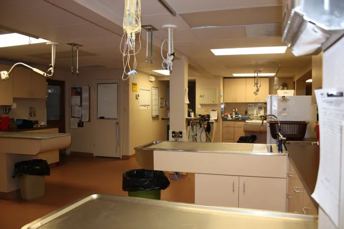 VCA Spring Mountain Animal Hospital 2