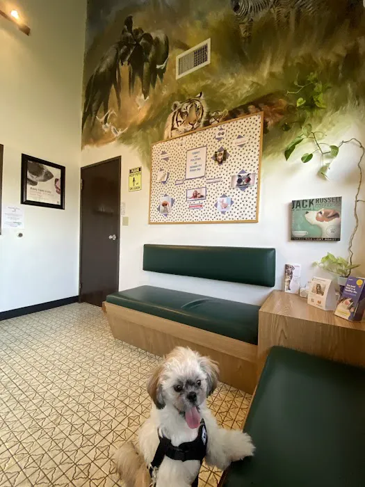 Sahara Pines Animal Hospital 12