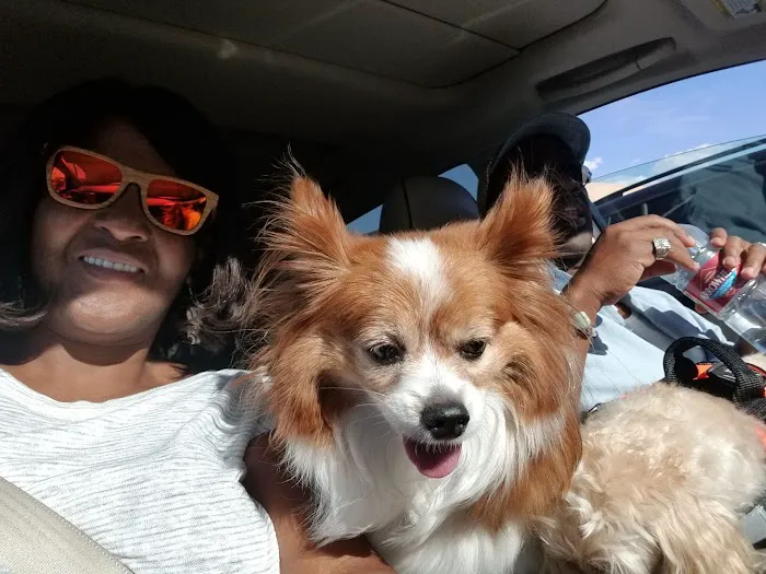 Sahara Pines Animal Hospital 12