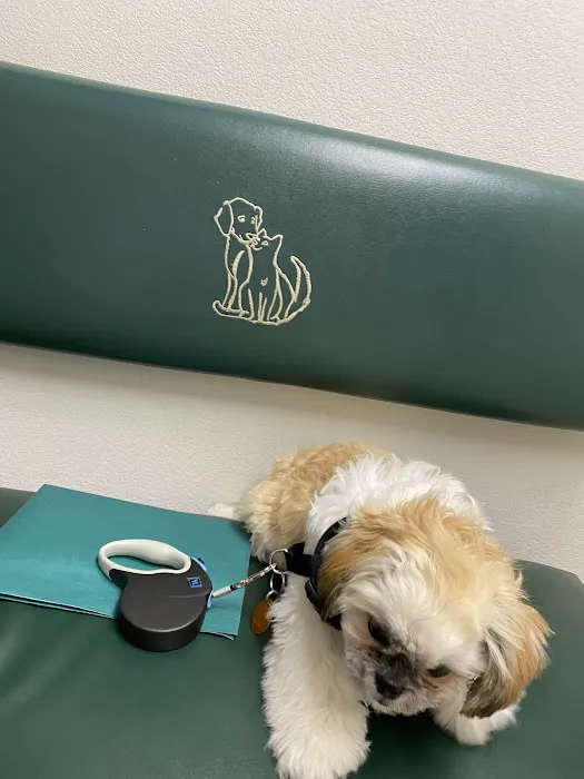 Sahara Pines Animal Hospital 12