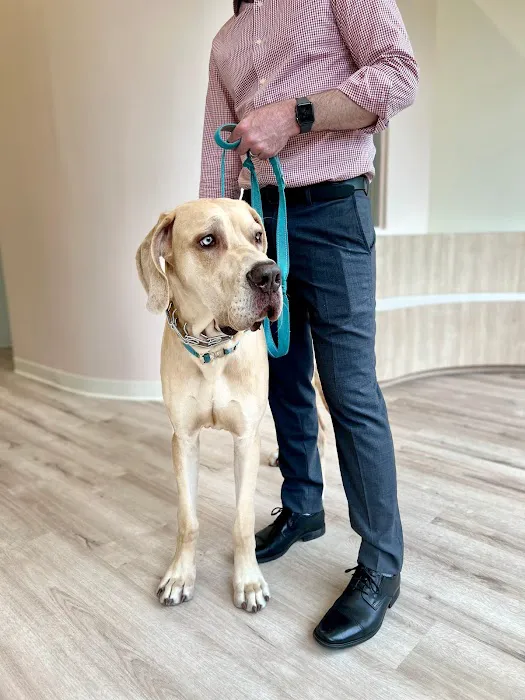 Petfolk Veterinary & Urgent Care - Southside 12