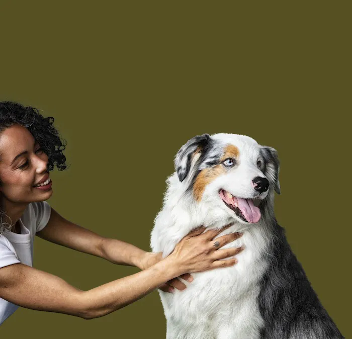 Petfolk Veterinary & Urgent Care - Southside 12