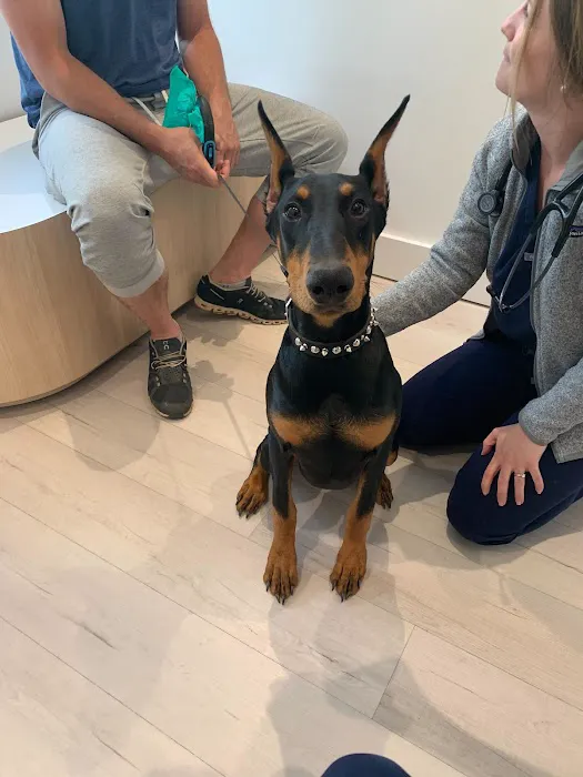 Petfolk Veterinary & Urgent Care - Southside 12
