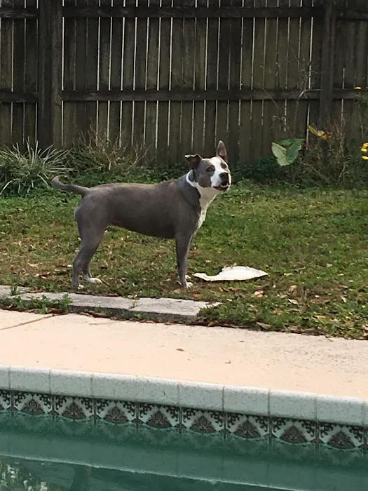 Banfield Pet Hospital 12