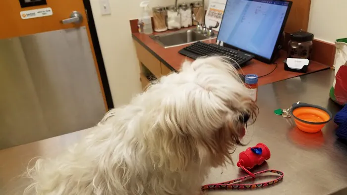 Banfield Pet Hospital 12