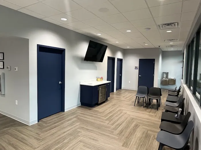 Jacksonville Veterinary Surgery and Orthopedics 6