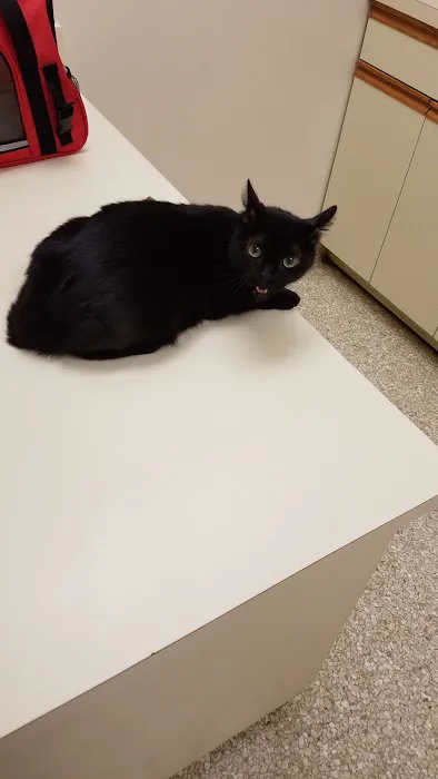 Baywood Animal Hospital 12