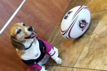 Forever Vets Animal Hospital at Baymeadows