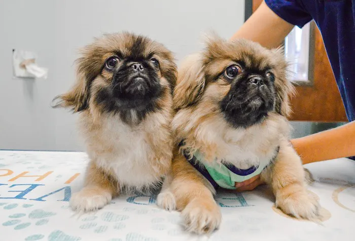 Forever Vets Animal Hospital at Tinseltown 5
