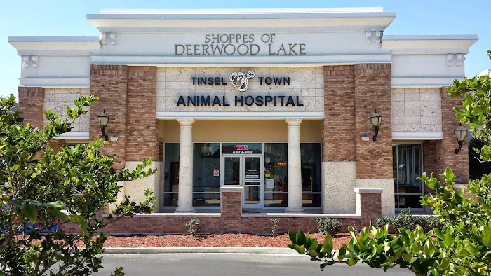 Forever Vets Animal Hospital at Tinseltown 2