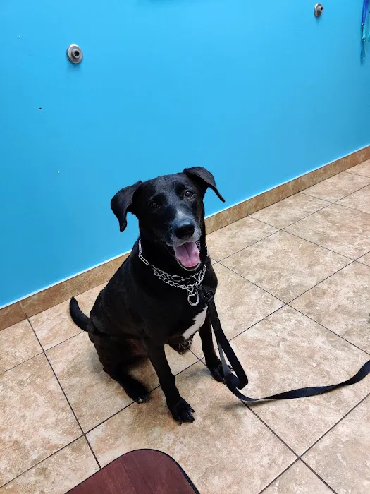Forever Vets Animal Hospital at Tinseltown 3