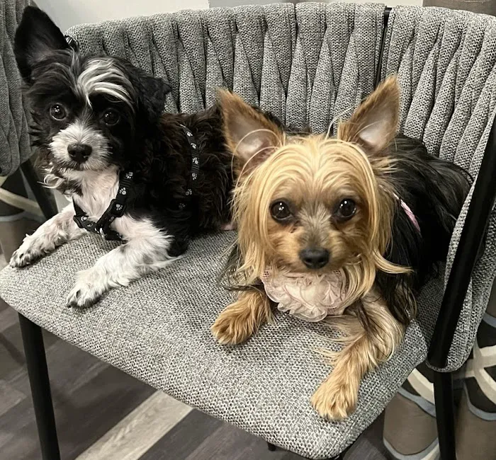 Forever Vets Animal Hospital at Tinseltown 9