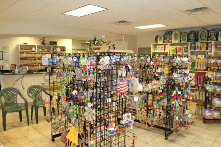 Exotic Bird Hospital