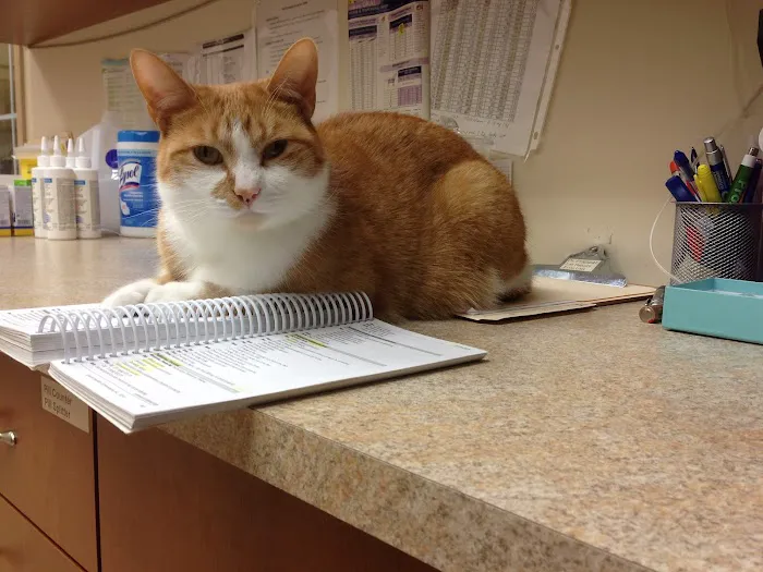 Sunshine Animal Clinic 12