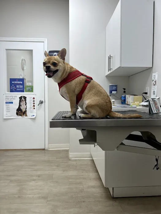 Sunshine Animal Clinic 12