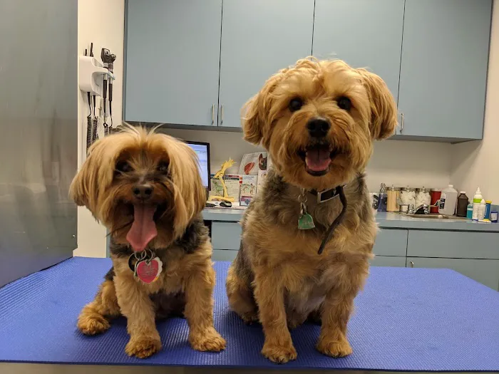 Long Island City Veterinary Center 4
