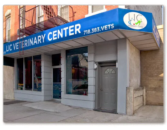 Long Island City Veterinary Center 2