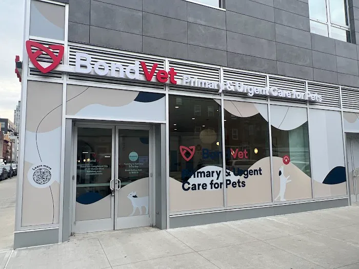 Bond Vet - Long Island City 5