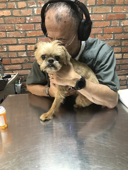 The Village Veterinarian 2