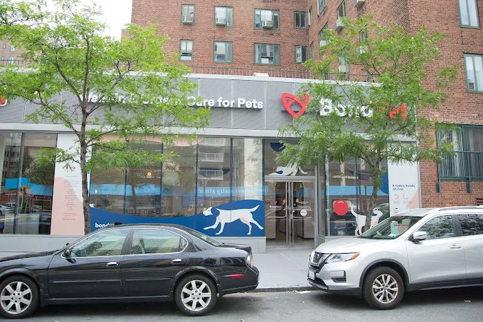 Bond Vet - East Village 6