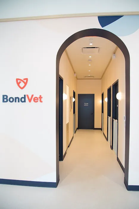 Bond Vet - East Village 9