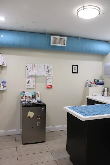 First Avenue Veterinary Hospital 12