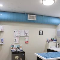 First Avenue Veterinary Hospital ico