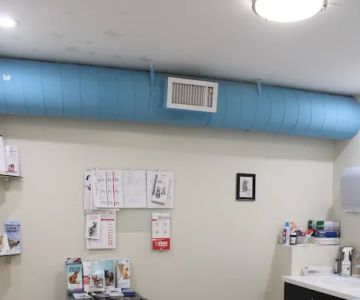 First Avenue Veterinary Hospital