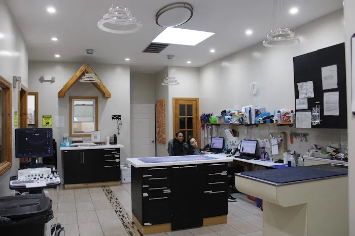First Avenue Veterinary Hospital 12