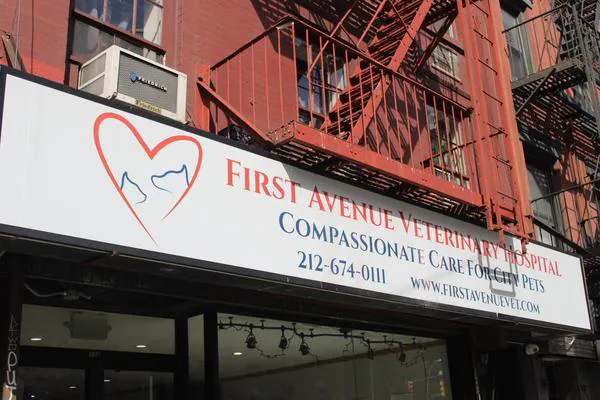 First Avenue Veterinary Hospital 12