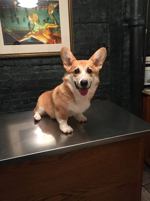 Cooper Square Veterinary Hospital 2