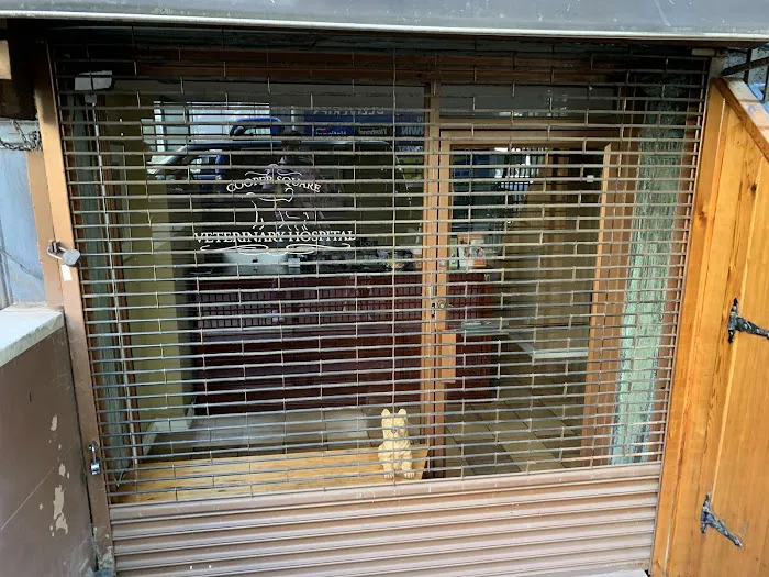 Cooper Square Veterinary Hospital 4