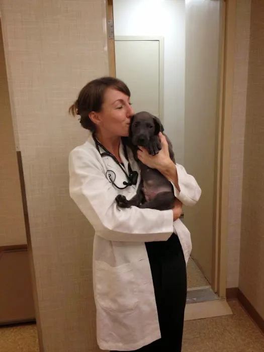 Heart of Chelsea Veterinary Group - Lower East Side 1
