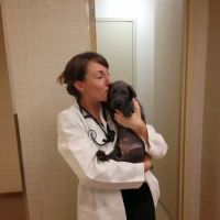 Heart of Chelsea Veterinary Group - Lower East Side ico
