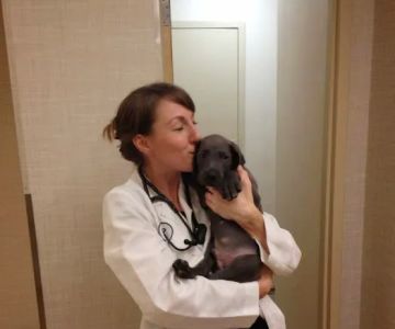 Heart of Chelsea Veterinary Group - Lower East Side