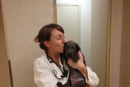 Heart of Chelsea Veterinary Group - Lower East Side