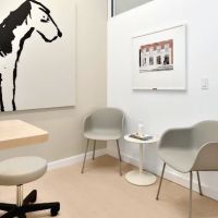 Small Door Veterinary - Gramercy ico