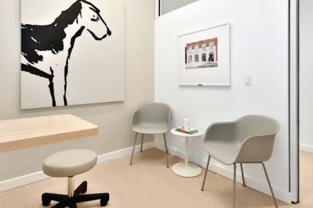 Small Door Veterinary - Gramercy